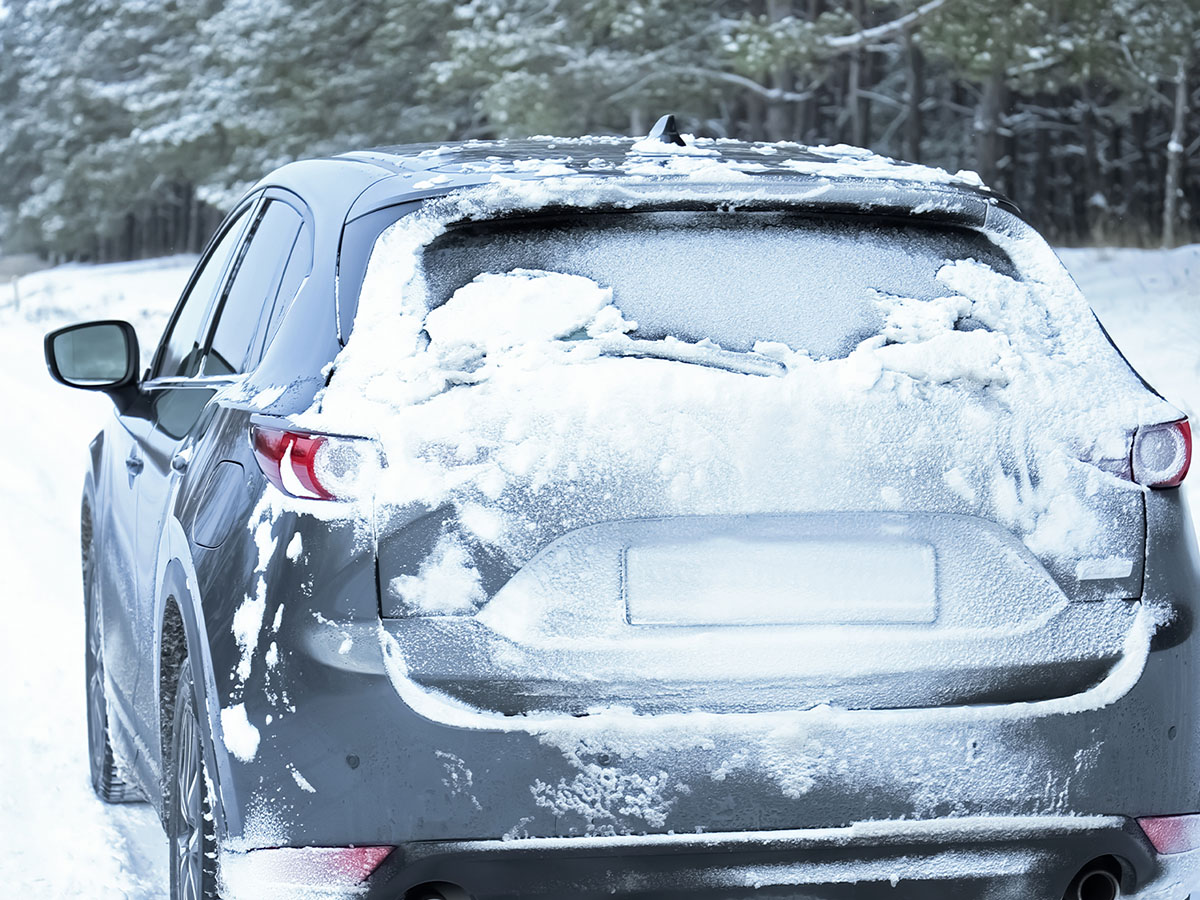 1200x900GMB-4-6151ec0b88e1c