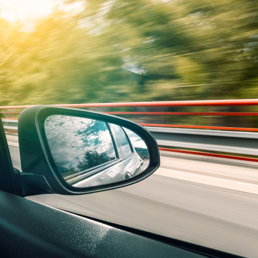 View of trees going by from vehicle passenger window
